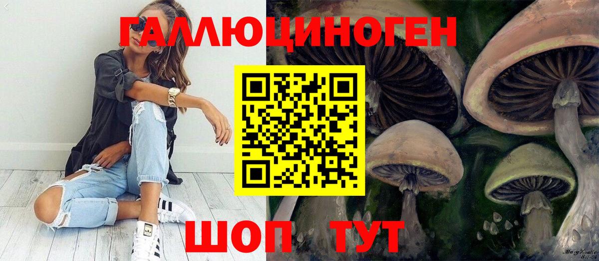 Псилоцибиновые грибы Cubensis Назарово